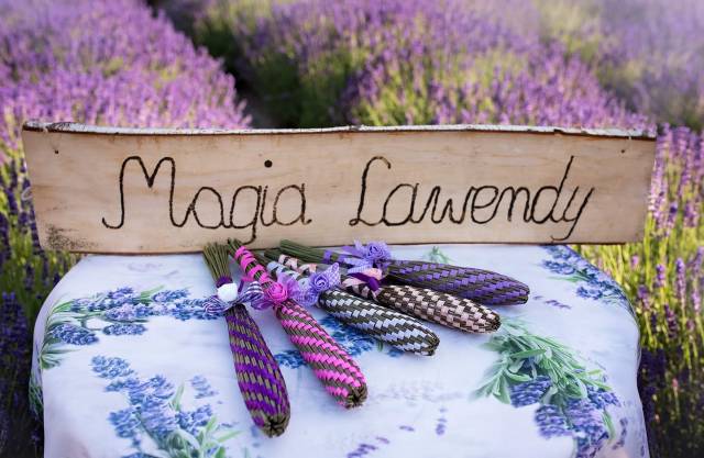 Magia lawendy